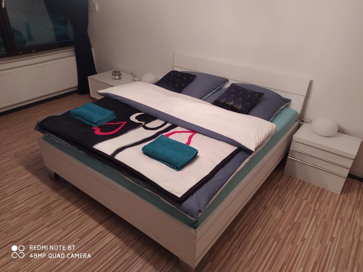 Park Villa Ferienwohnung Mit Pool Und 3 Schlafzimmer Ильцен Экстерьер фото